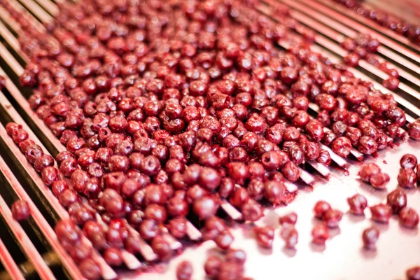 sour cherries in processing machines