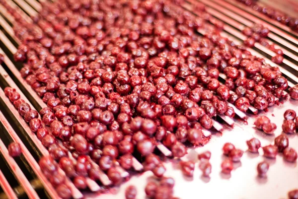 Cerejas ácidas em máquinas de processamento — Fotografia de Stock