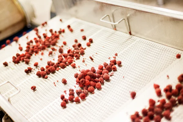 dondurulmuş ahududu iş işleme