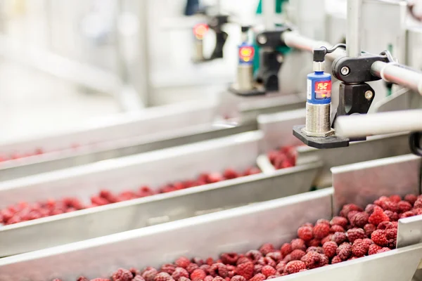 Negócios congelados de processamento de framboesa — Fotografia de Stock