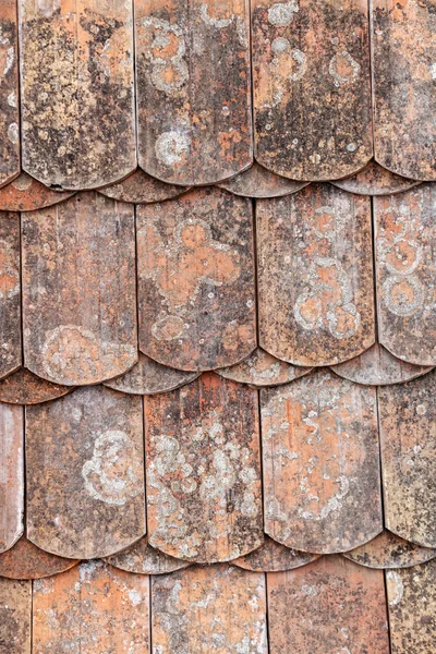 Roof tiles — Stock Photo, Image