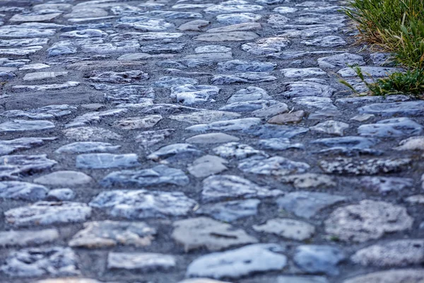 Detalhe do caminho de paralelepípedos — Fotografia de Stock