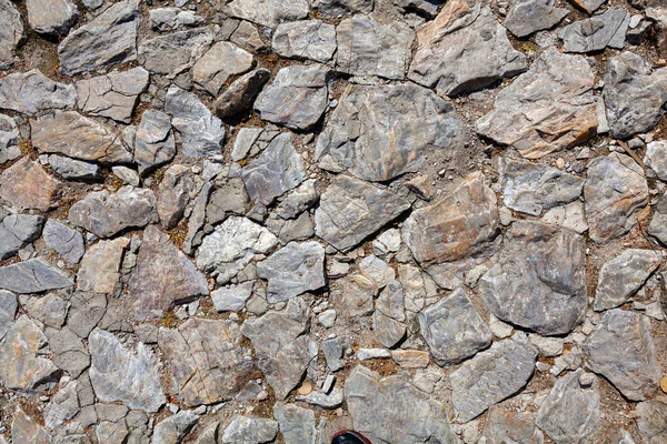 Detail of cobblestone path — Stock Photo, Image