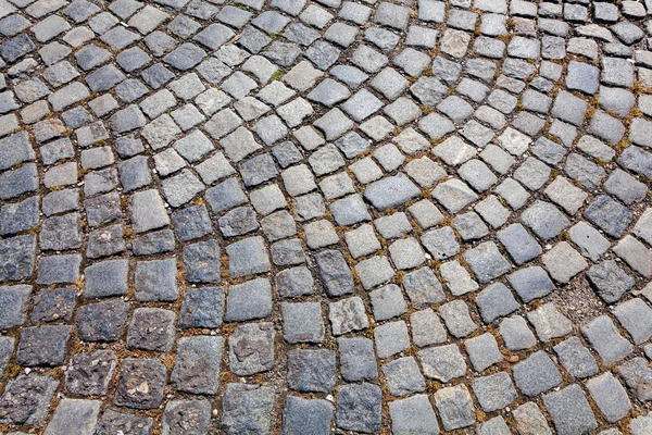 Detalhe do caminho de paralelepípedos — Fotografia de Stock