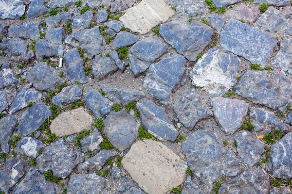 Detail of cobblestone path — Stock Photo, Image