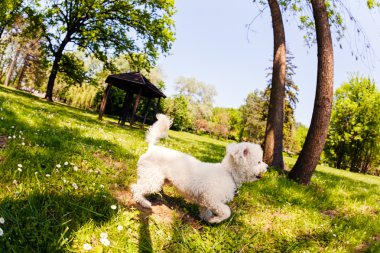 bisiklet park