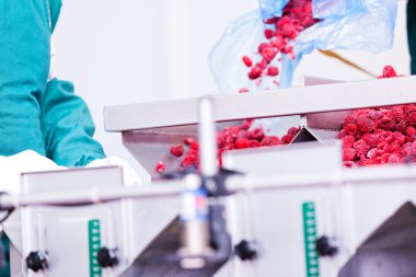 dondurulmuş ahududu iş işleme