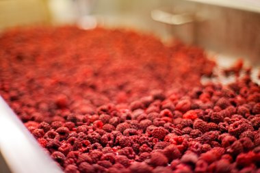 dondurulmuş ahududu iş işleme