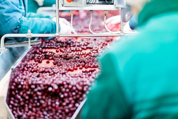 Cerejas ácidas em máquinas de processamento — Fotografia de Stock