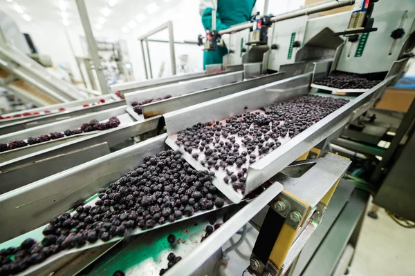 Geschäft mit tiefgefrorenen Himbeeren — Stockfoto