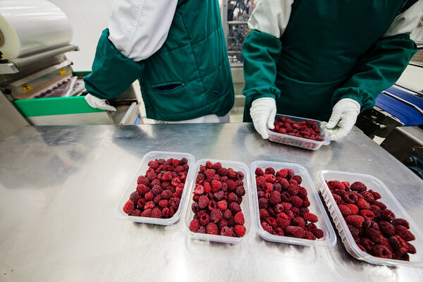 frozen raspberry processing business