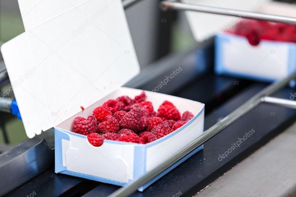 frozen raspberry processing business