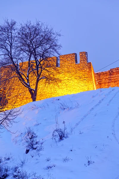 Fortezza di Belgrado e parco Kalemegdan con neve — Foto Stock