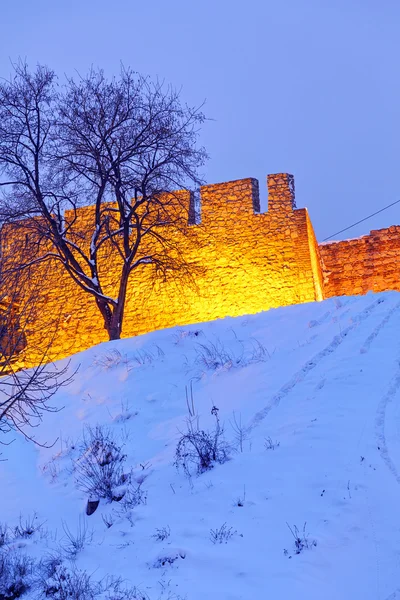 Belgrade Festung und Kalemegdan Park mit Schnee — Stockfoto