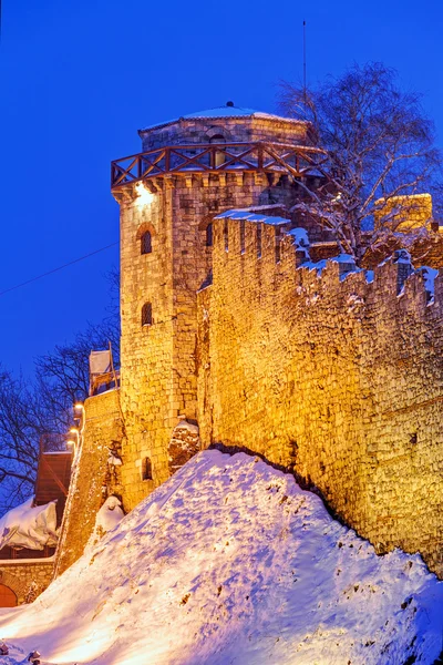 Belgrade fortress and Kalemegdan park with snow — Stock Photo, Image