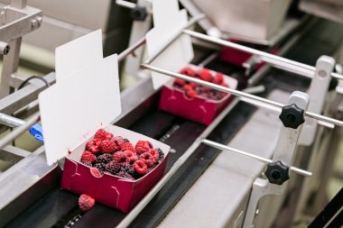 dondurulmuş ahududu iş işleme