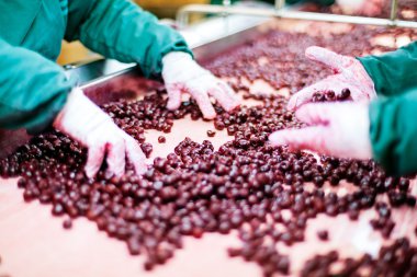 Vişne içinde işleme makineleri