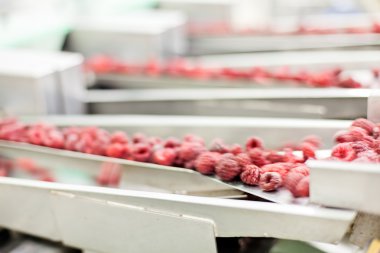 dondurulmuş ahududu iş işleme