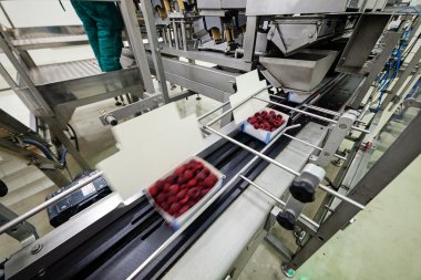 dondurulmuş ahududu iş işleme