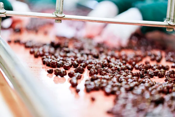 Sour cherries in processing machines — Stock Photo, Image