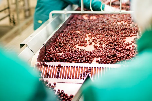 Cerejas ácidas em máquinas de processamento — Fotografia de Stock