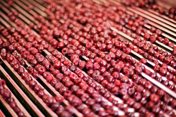 Sour cherries in processing machines — Stock Photo, Image