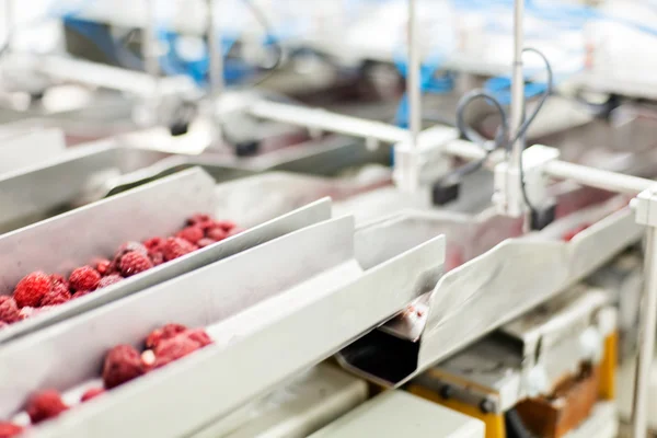 Negócios congelados de processamento de framboesa — Fotografia de Stock