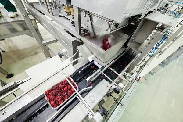 Geschäft mit tiefgefrorenen Himbeeren — Stockfoto