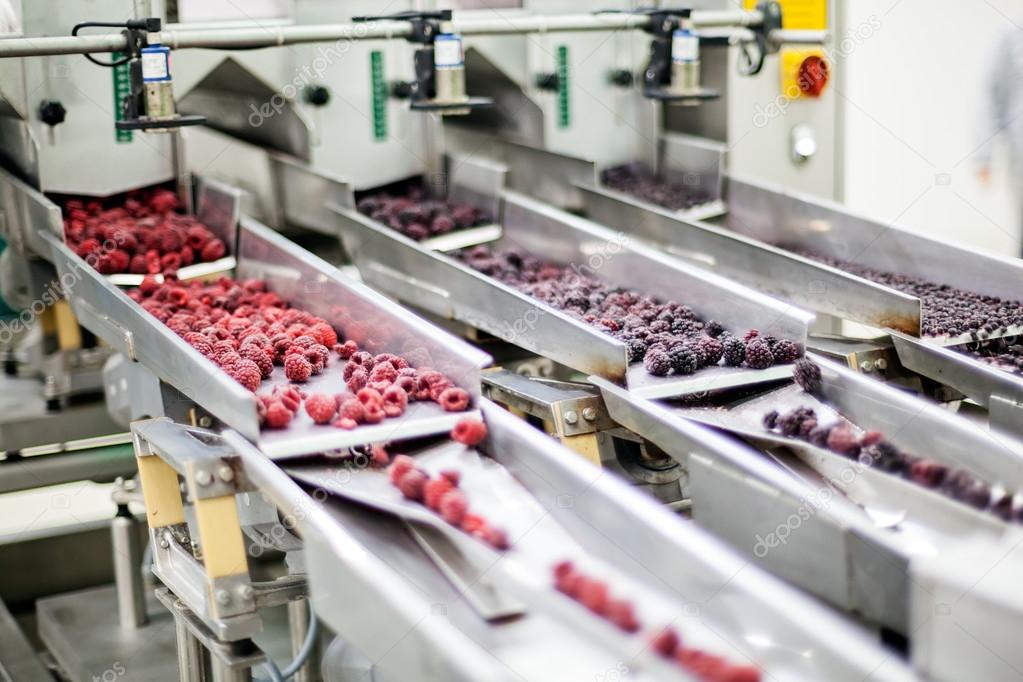 frozen raspberry processing business