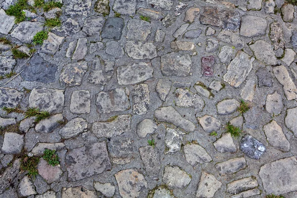 Vieux mur de pierre — Photo