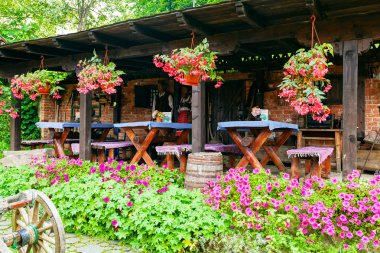 Bebek geleneksel Sırp Ulusal kostümleri ile 