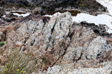 Sahilde gri taş keskin