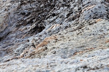 Sahilde gri taş keskin