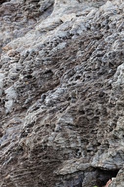 Sahilde gri taş keskin