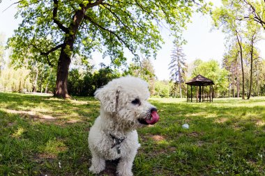 bisiklet park