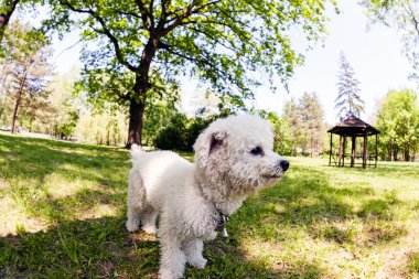 bisiklet park