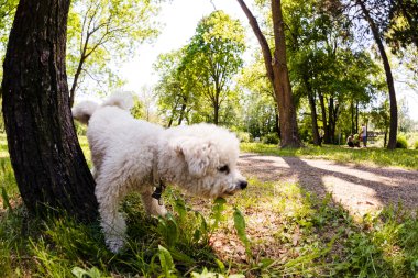 bisiklet park