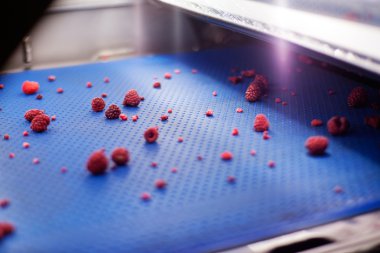 dondurulmuş ahududu iş işleme