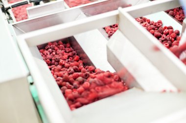 dondurulmuş ahududu iş işleme