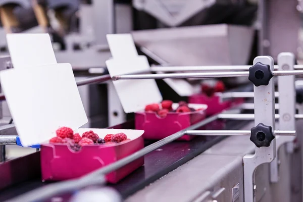 Negócios congelados de processamento de framboesa — Fotografia de Stock