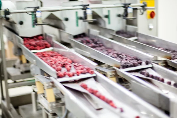 Negócios congelados de processamento de framboesa — Fotografia de Stock