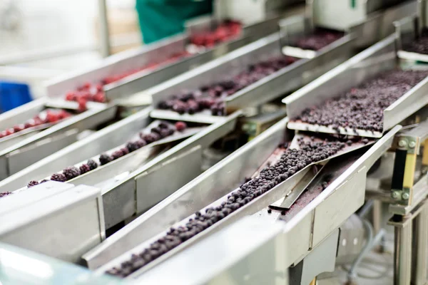 Negócios congelados de processamento de framboesa — Fotografia de Stock