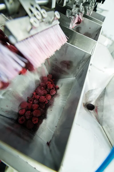 Negócios congelados de processamento de framboesa — Fotografia de Stock