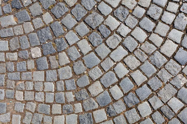 Detalle del camino de adoquines —  Fotos de Stock