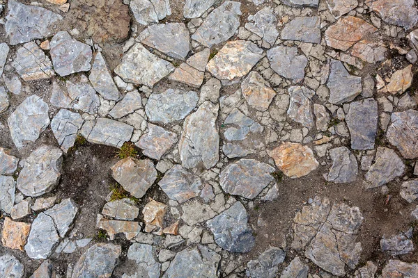 Detalhe do caminho de paralelepípedos — Fotografia de Stock