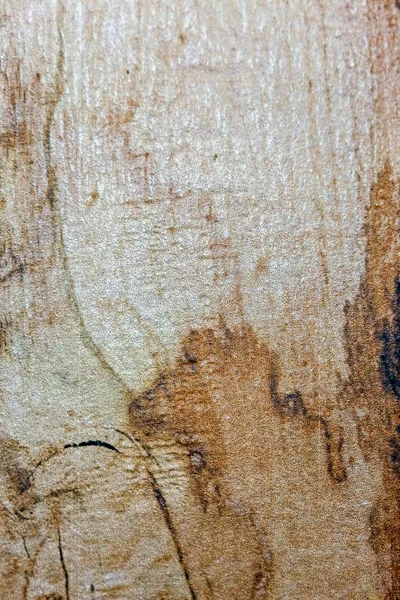 Drewniana podłoga — Zdjęcie stockowe