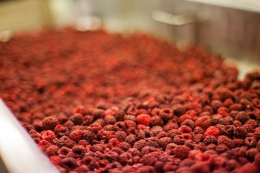 dondurulmuş ahududu iş işleme