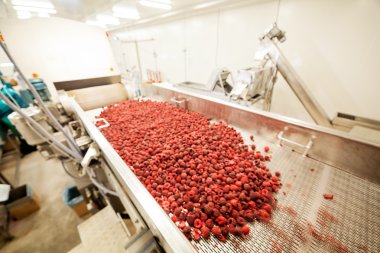 dondurulmuş ahududu iş işleme