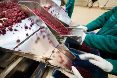 dondurulmuş ahududu iş işleme