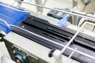 dondurulmuş ahududu iş işleme